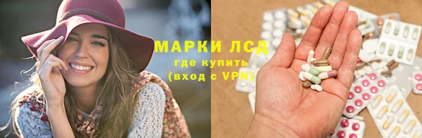сатива Нефтекумск