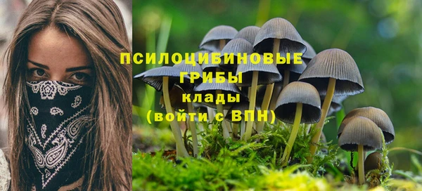 марки lsd Нея
