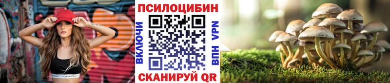 цены наркотик  Пошехонье  Псилоцибиновые грибы Cubensis 